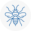 Shenley Brook End Hornet Nest Removals