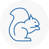 Shenley Brook End Rodent Removals