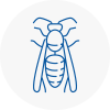 Shenley Brook End Wasp Nest Removal